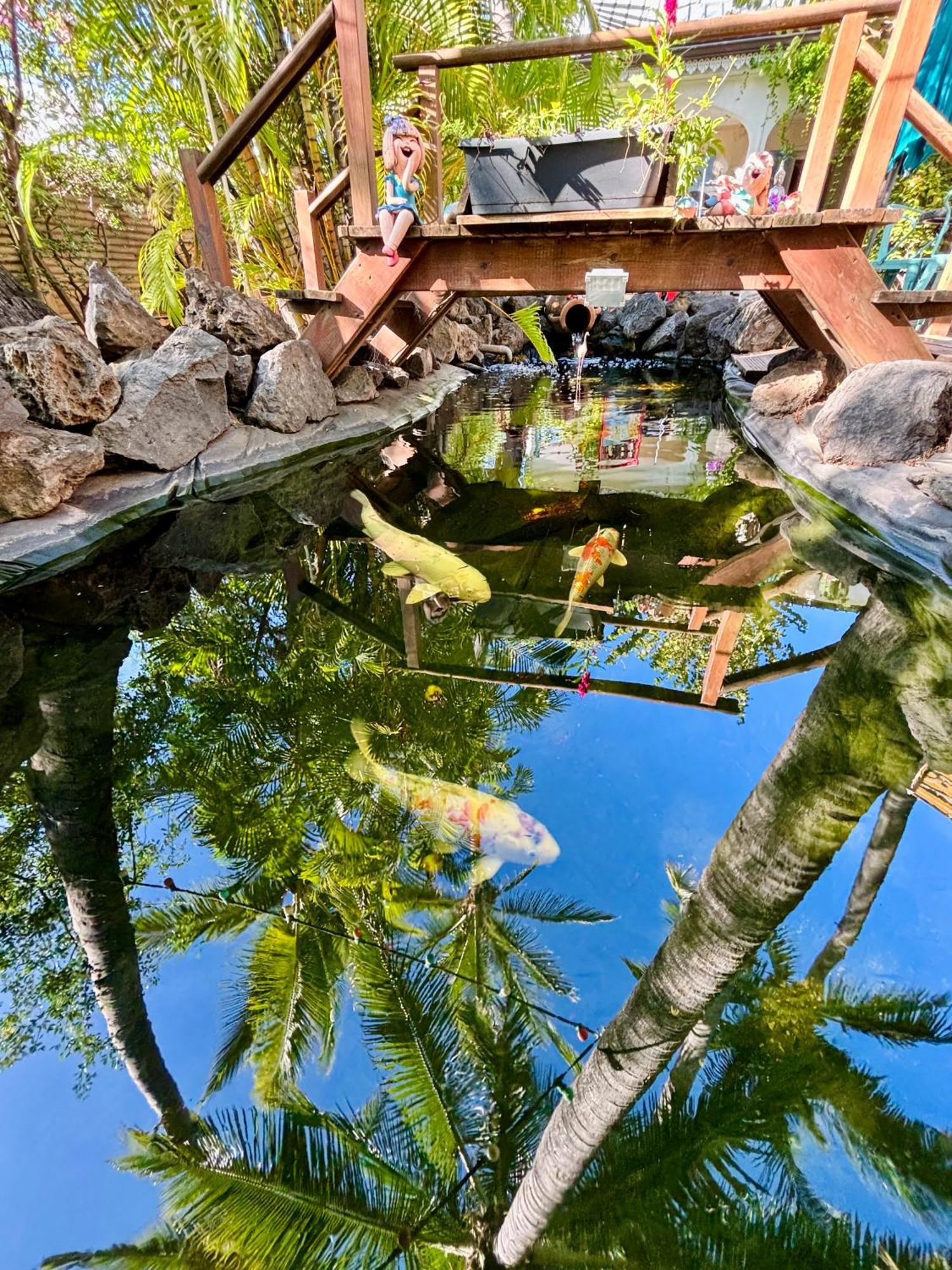 סן-ז'יל-לה-באן Hotel Coco Island מראה חיצוני תמונה