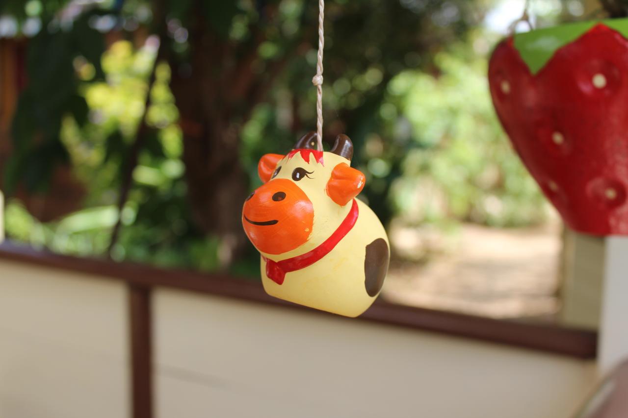 סן-ז'יל-לה-באן Hotel Coco Island מראה חיצוני תמונה